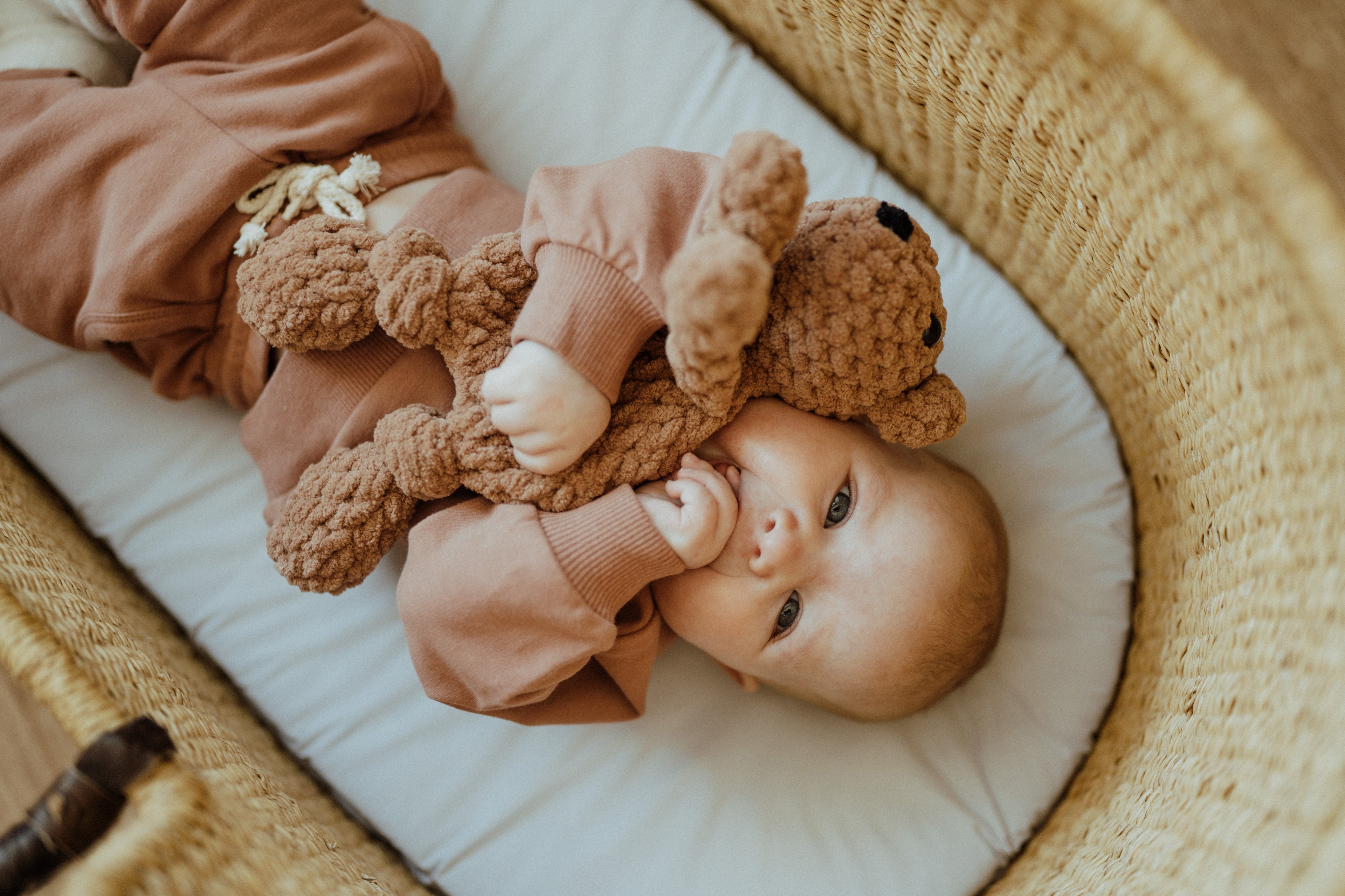Organic Cotton Baby & Toddler Sweatsuit, Desert Pink | ba.be.O Canada